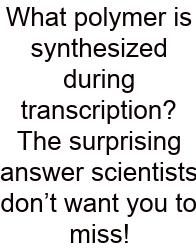 What Polymer Is Synthesized During Transcription? The Surprising Answer Scientists Don’t Want You To Miss!
