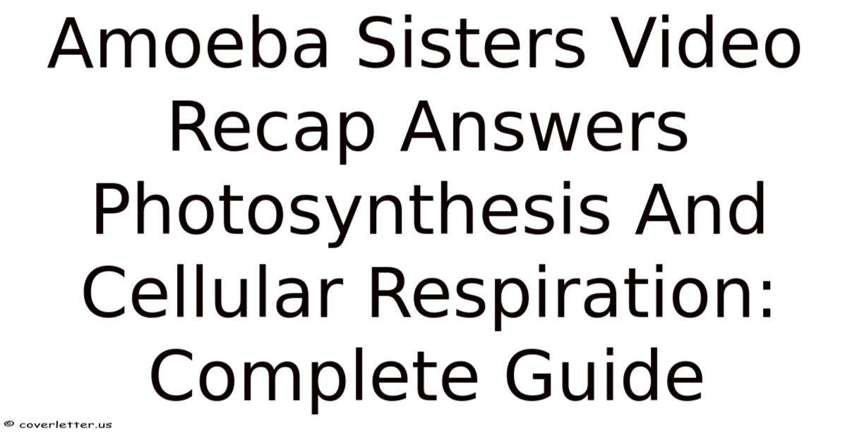 Amoeba Sisters Video Recap Answers Photosynthesis And Cellular ...