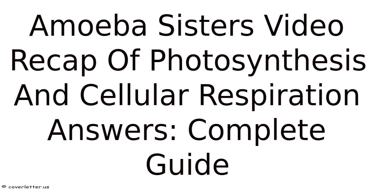 Amoeba Sisters Video Recap Of Photosynthesis And Cellular Respiration ...
