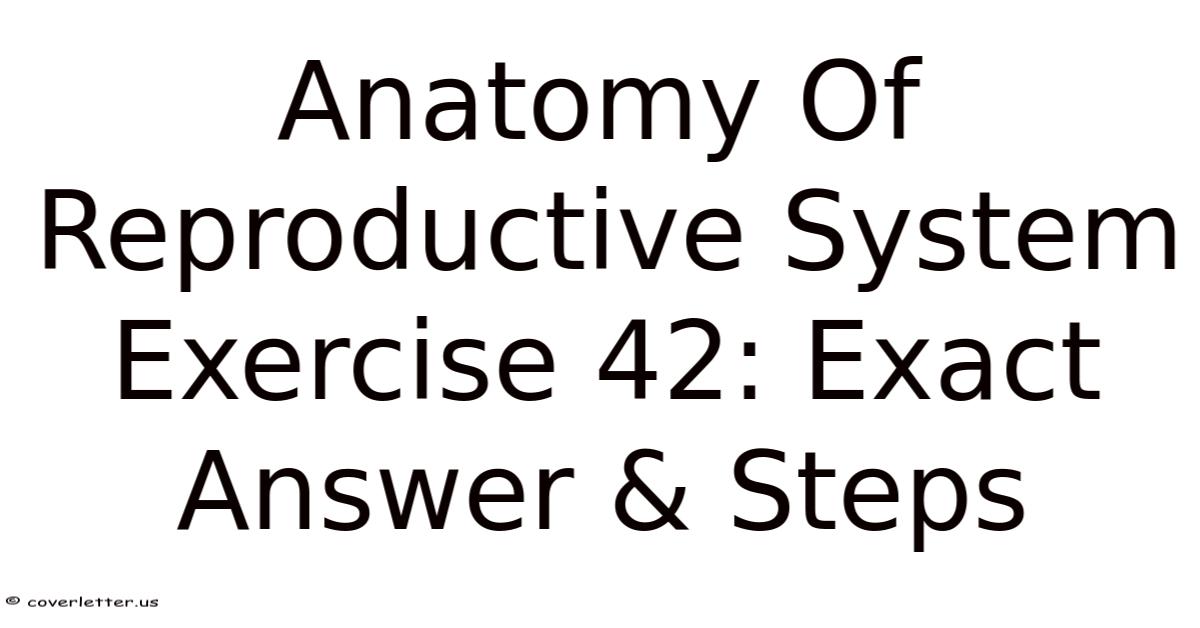 Anatomy Of Reproductive System Exercise 42: Exact Answer & Steps