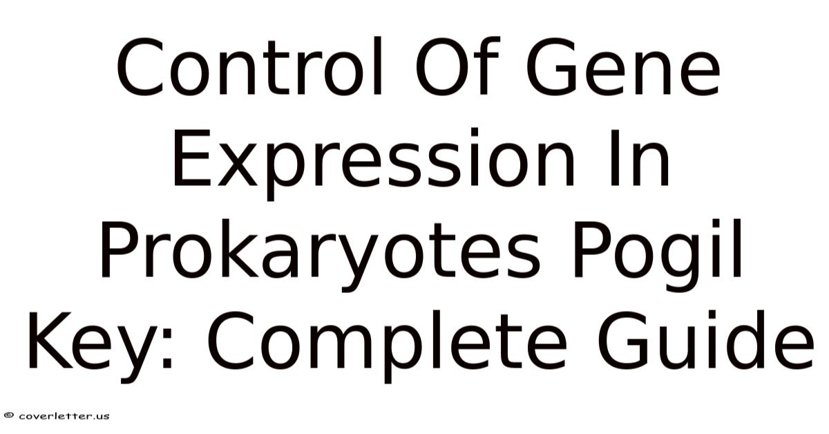 Control Of Gene Expression In Prokaryotes Pogil Key