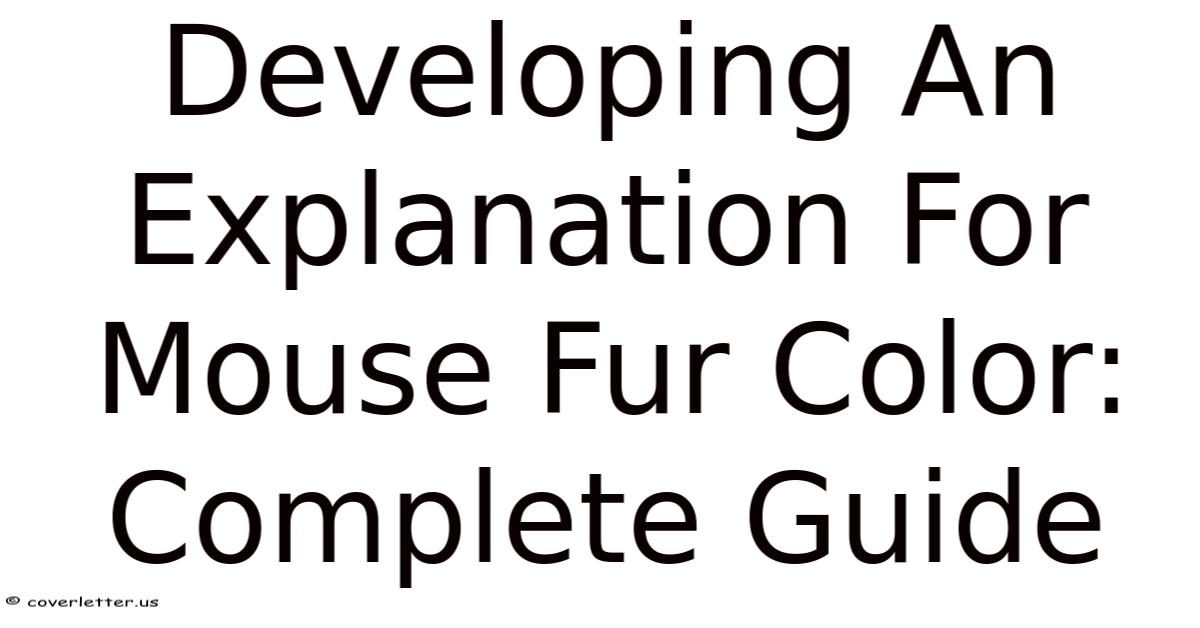 Mouse Skin Color Code Developing An Explanation For Mouse Fur Color: Complete Guide