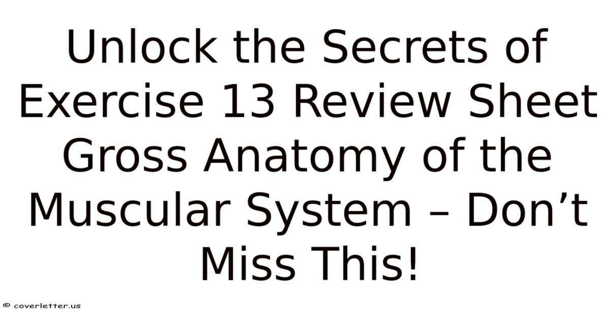 Unlock The Secrets Of Exercise 13 Review Sheet Gross Anatomy Of The ...
