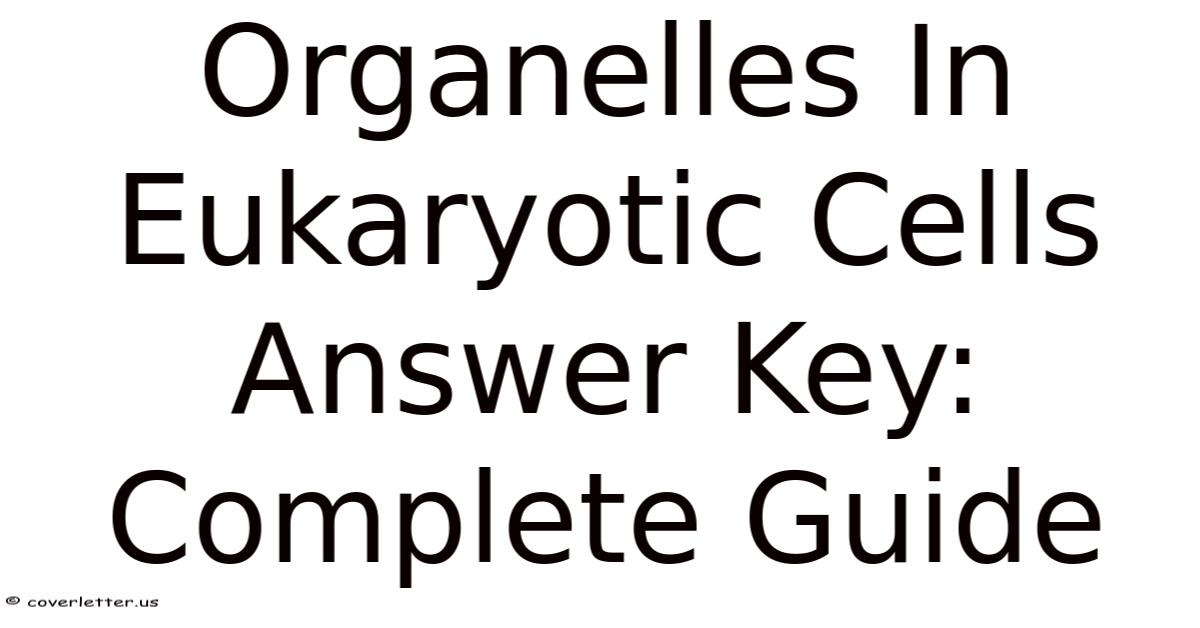 Organelles In Eukaryotic Cells Answer Key: Complete Guide