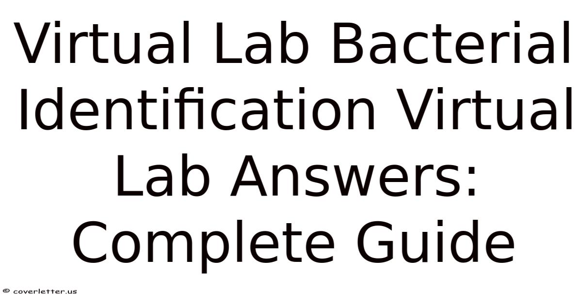Virtual Lab Bacterial Identification Virtual Lab Answers: Complete Guide