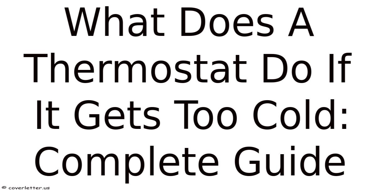 Getting Too Cold What Does A Thermostat Do If It Gets Too Cold: Complete Guide