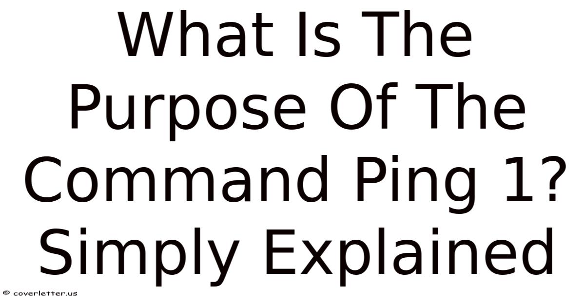 What Is The Purpose Of The Command Ping 1? Simply Explained